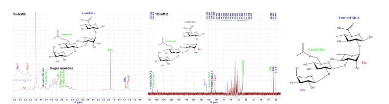 발효인삼잎 정제 다당 GLF2-I의 NMR 분석