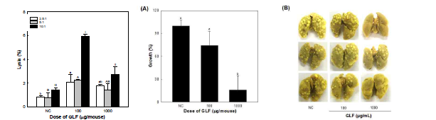 경구투여를 통한 GLF-0의 NK cell 활성능 및 항전이 활성 결과