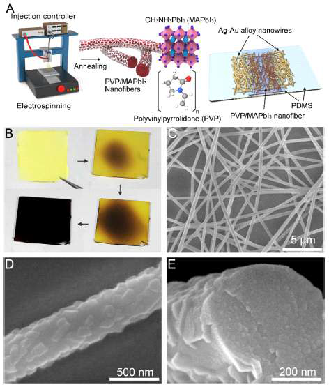 Polyvinlypyrrolidone (PVP)과 methylammonium lead iodide (MAPbI3)의 복합체로 이 루어진 나노 섬유의 제조 및 표면과 단면 분석. (A) PVP/MAPbI3 복합 나노 섬유 기반 웨어 러블 광센서 소자 구조 모식도. (B) 전기방사로부터 얻는 나노 섬유 매트 (mat)와 MAPbI3 결정 성장에 따른 시편 색변화 관찰 사진. (C) 나노 섬유의 저배율 SEM 사진. (D) 나노 섬 유의 고배율 SEM 사진. (E) 나노 섬유의 단면 SEM 사진. 약 10-20 nm의 균일한 직경을 갖는 고밀도의 MAPbI33 나노 입자가 섬유 내부에 임베딩 되어 있고 나노 플레이트가 외부 에 형성되어 있는 형상을 보여줌