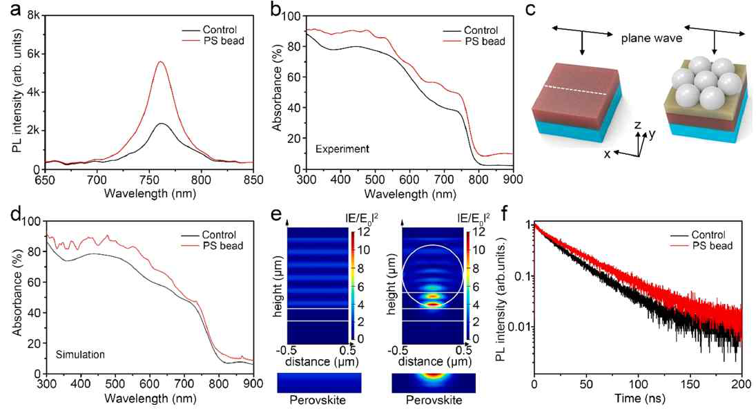 (a) 페로브스카이트 층의 steady-state PL과 PS bead 층이 도입된 페로브스카이트의 steady-state PL 스펙트럼. (b) 두 샘플의 UV-Vis 흡광 스펙트럼. (c) 광학 시뮬레이션을 위한 입사 plane wave 모사 그림. (d) 시뮬레이션 기반 두 샘플의 흡광 스펙트럼. (e) FDTD 시뮬레 이션 결과로 얻은 electric field 분포도. (f) 두 샘플의 time-resolved PL decay 곡선