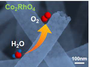 스피넬 Co2RhO4 나노튜브의 SEM 이미지