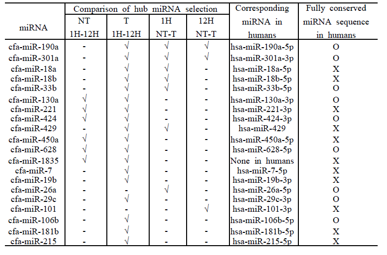 Hub miRNAs 목록