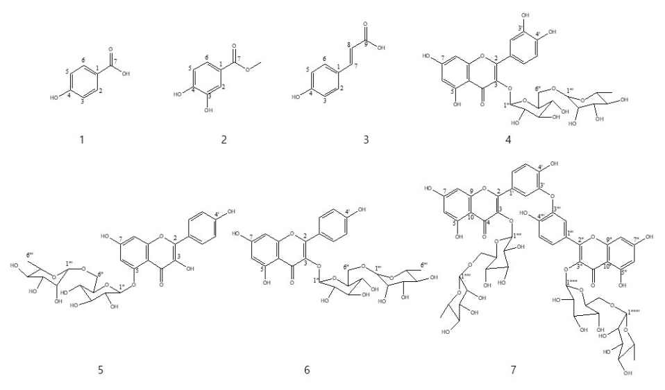 멀구슬나무 추출물로부터 분리된 화합물 (1-7)