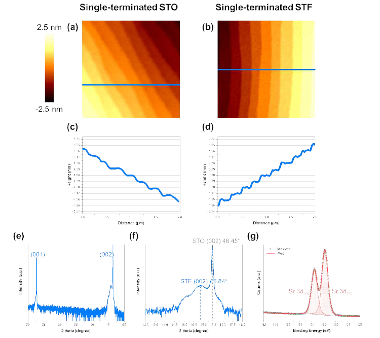(a) 원자 단위로 균일하고 단일 종단층을 지닌 STO기판 및 (b) 이 위에 증착한 단일 종단층의 STF 박막 의 원자간력 현미경 이미지, (c, d) line scan 결과, (e,f) STF 단결정 박막의 고분해능 X선 회절 패턴 및 확대한 (002) peak, (g) X-ray photoelectron spectrum의 Sr 3d peak