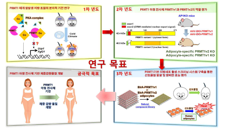 본 연구과제의 연차별 목표 및 최종 목표