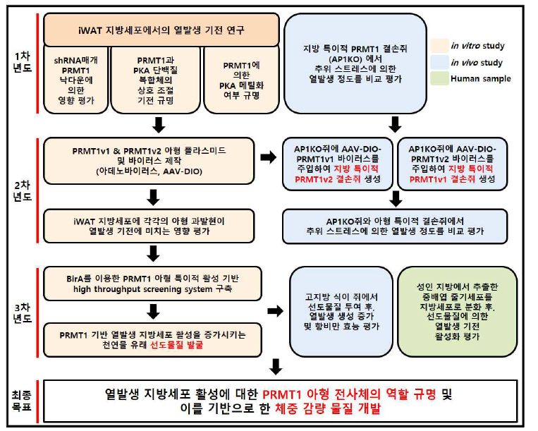 연도별 연구의 추진전략, 방법 및 최종 목표