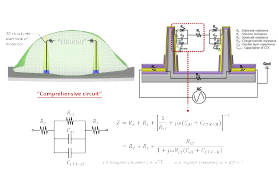 전해질, 세포 등을 모두 회로에 포함하는 3 차원 나노 전극 기반의 comprehensive circuit 구현