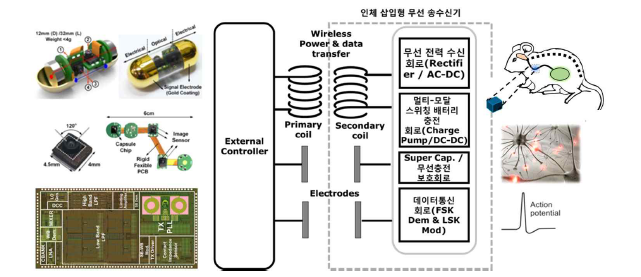 저전력 고속 임플란터블 무선 통신 및 전력 전송 IC 칩 설계 기술