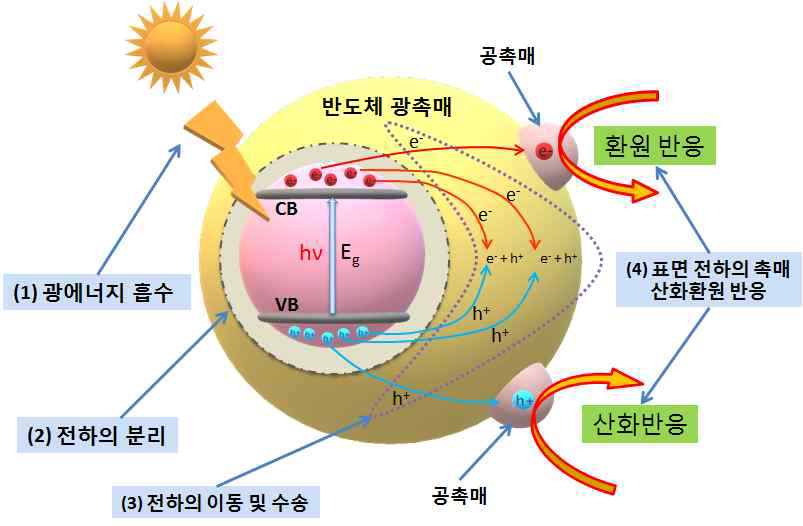 광촉매 반응 원리 및 과정 모식도