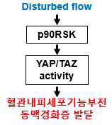 연구가설