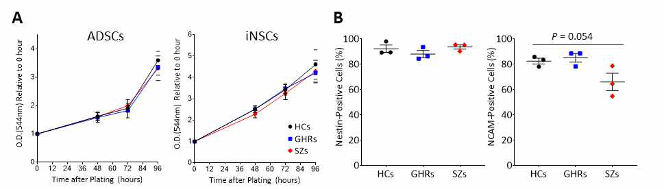 A. HCs, GHRs, SZs의 hADSC와 iNSC의 self-renewal rate (doubling time)가 서로 유의미한 차이가 없음을 확인함. B. FACS (fluorescence-activated cell sorter analysis)를 통해 각 그룹 iNSC에서의 Nestin 발현이 유의미한 차이가 없지만 NCAM의 발현이 SZs가 낮음을 확인（P=0.054)