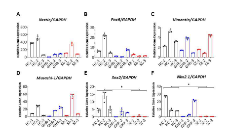 Quantitative Real-time PCR로　 HC, GHR, SZ의　신경줄기세포　 마커　발현을　인간유래　 지방줄기세포에서　분화된　 유도신경줄기세포에서　확인함. A-D. Nestin, Pax6, Vimentin, Musashi-1은　통계적으로　 유의미한　차이가　없음． E-F.　SZ에서 Sox2와　Nkx2.1의　 발현이　HC보다　통계적으로　 유의미하게　발현이　낮음을　 확인함