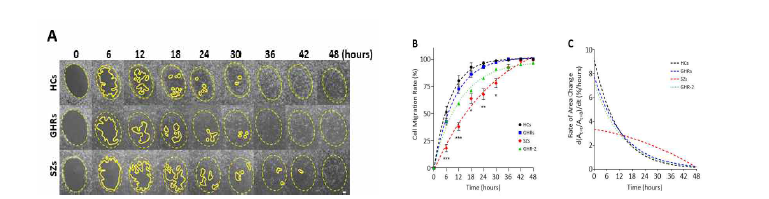 각 그룹의 iNSC에서 gap이 닫히는 시간이 HCs과 GHRs 그룹에서 SZs 그룹보다 빠 르게 진행됨을 확인하였음. B. C. 세포 migration이 되어 채워지는 시간당 면적의 속도가 HCs와 GHRs 그룹은 지수 감소 함수의 형태를 보였고, SZs 그룹은 2차 함수의 경향을 보였음