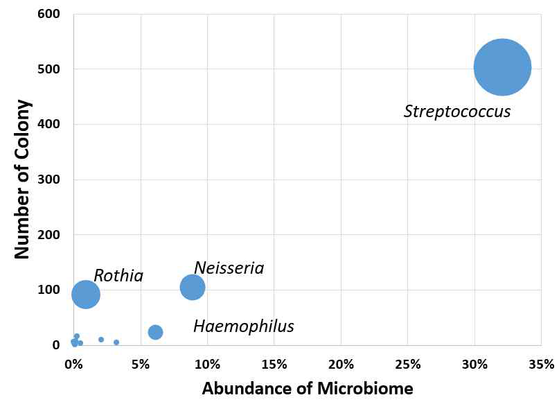 호흡기 시료에서 분리된 860점의 순수배양체와 메타게놈 분석상의 마이크로바이옴 점유율 비교