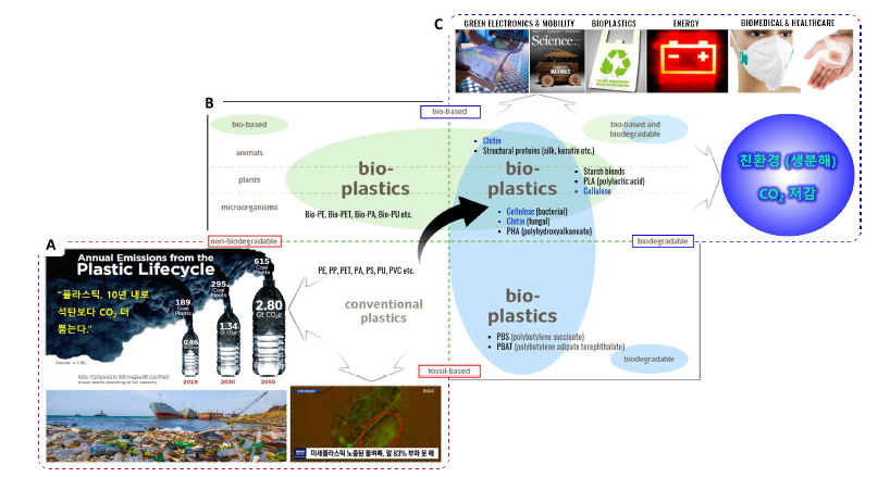 (A) 합성플라스틱 문제의 심각성, (B) 바이오플라스틱 사분면, (C) 생분해 바이오플라스틱의 필요 성, 종류 및 응용분야