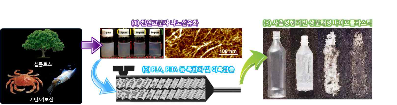 본 연구의 목표: 천연고분자 나노섬유 기반 친환경 생분해성 바이오플라스틱 제작