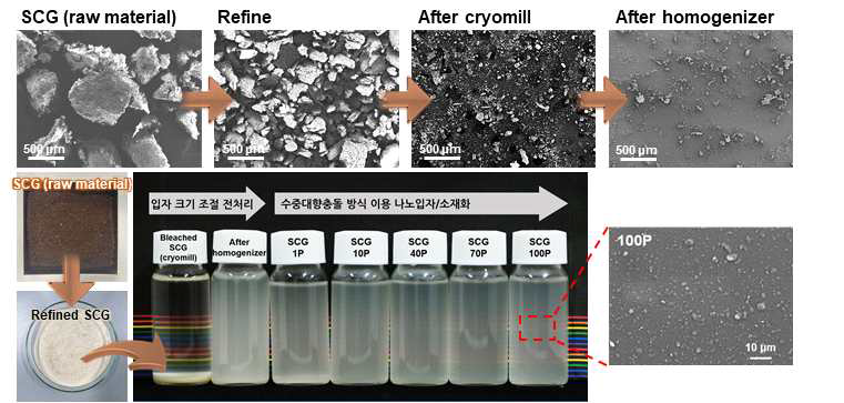 SCG 유래 셀룰로오스 정제 과정