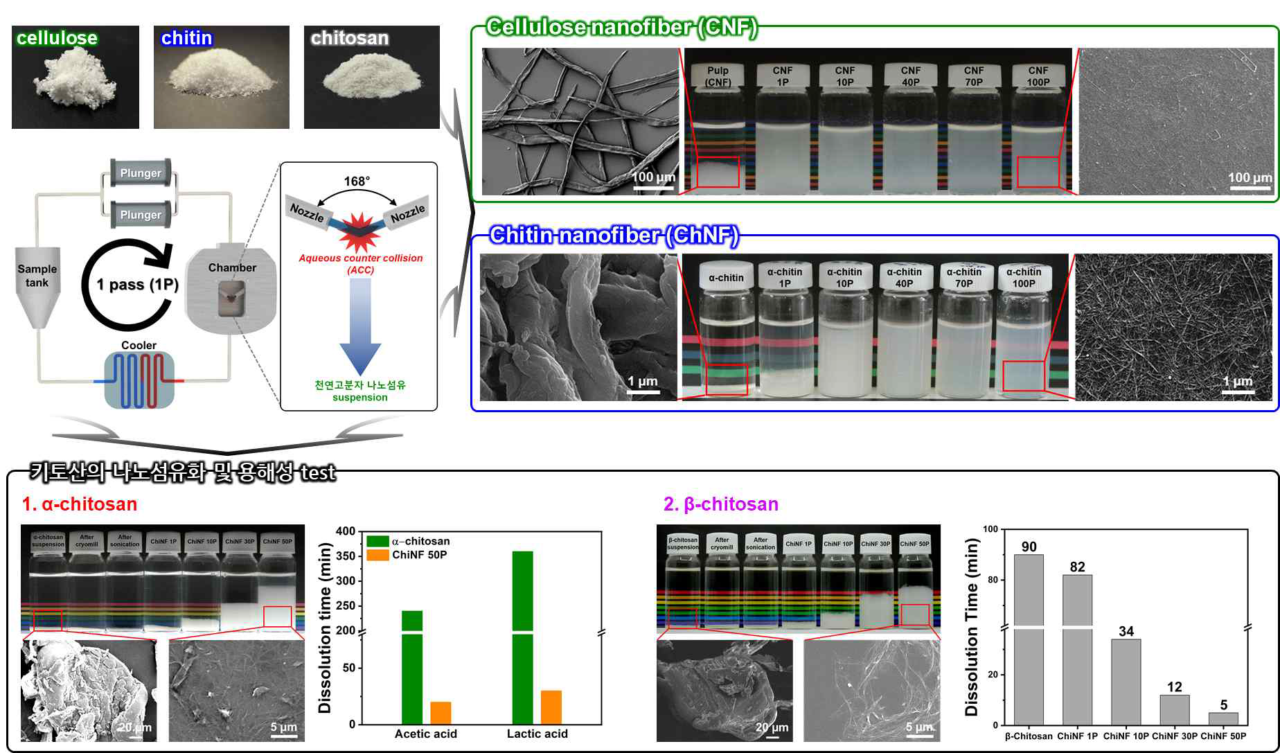 셀룰로오스, 키틴의 ACC 처리 횟수에 따른 나노섬유화와 키토산의 나노섬유화 및 용해성 test