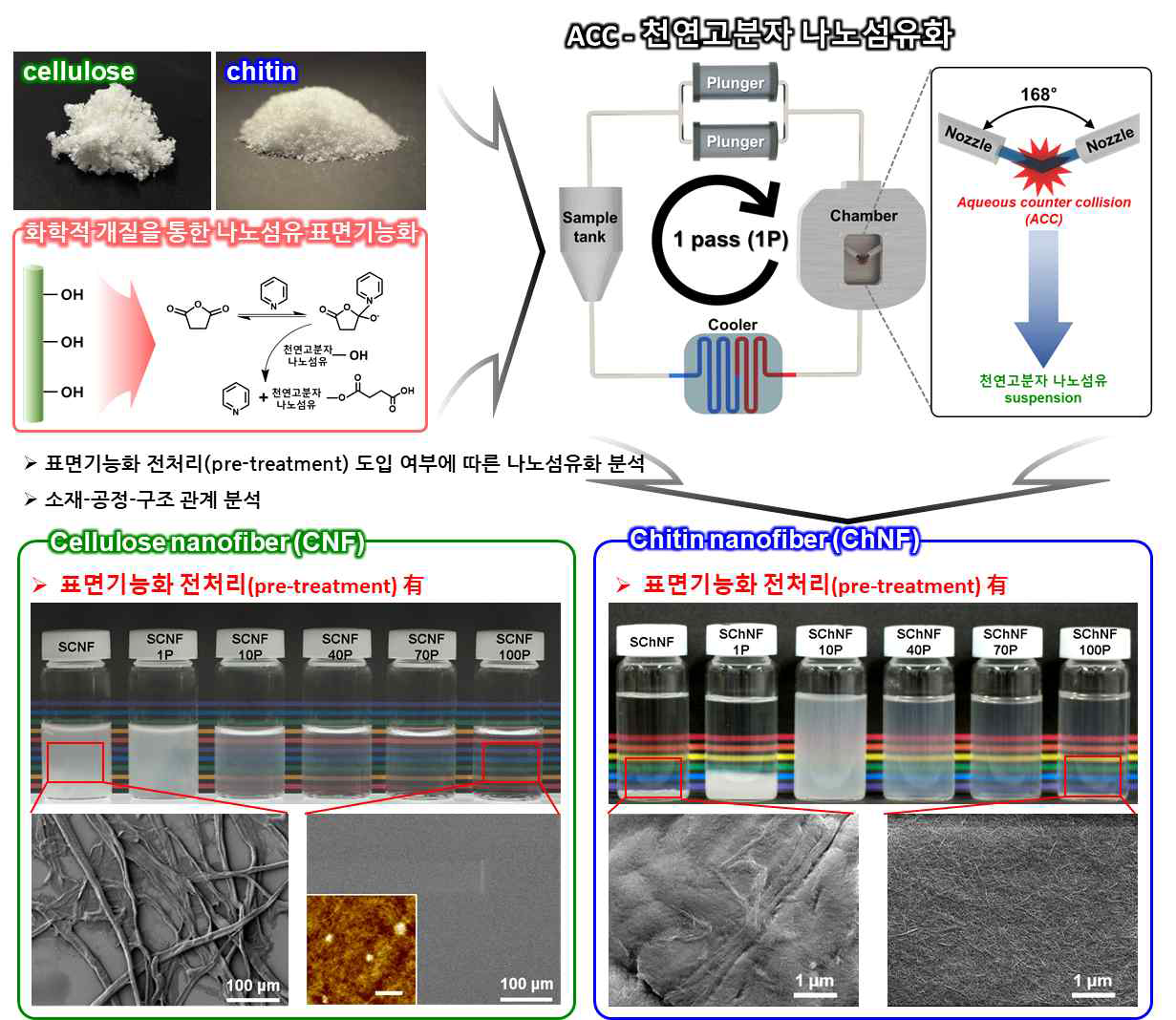 화학적 전처리 도입 및 ACC를 통한 셀룰로오스, 키틴의 나노섬유화