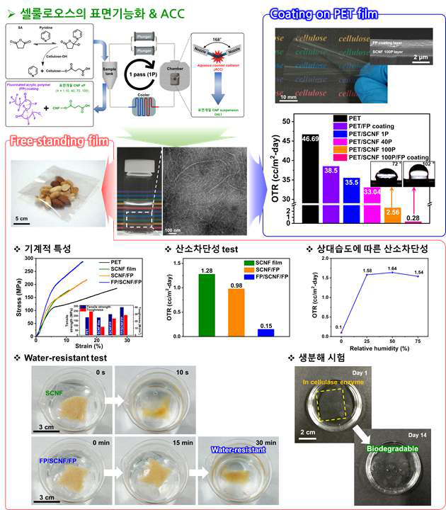 셀룰로오스 나노섬유 기반 산소차단성 패키징 필름 물성