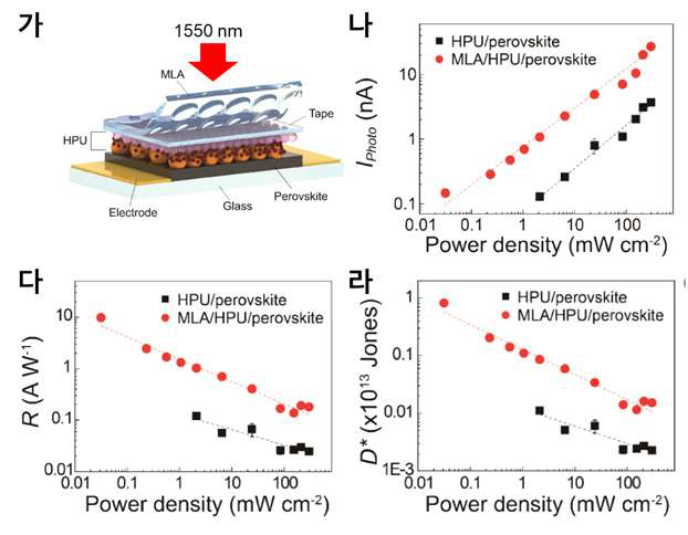 (가) MLA 필름을 적용한 페로브스카이트 기반 광검출기 모식도. (나- 라) 인가 전압 2 V에서 1550 nm의 빛 조사 하에서 측정한 HPU/perovskite와 MLA/HPU/perovskite 광검출기의 성능 분석. 출력 밀도에 대해 (나) 광전류, (다) 광응답도, (라) 광검출능 비교. (출처: Ko et al. Adv. Mater. 2022, 34, 2106225)