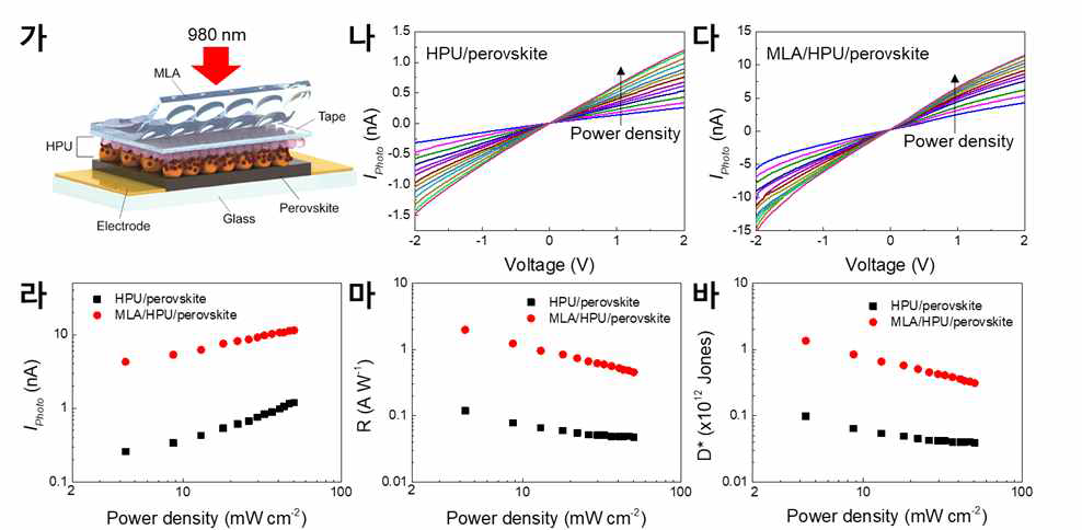 (가) MLA/HPU/perovskite 광검출기의 모식도. (나,다) 980 nm 빛 조사하에서 출 력 밀도 증가 (출처: Ko et al. Adv. Mater. 2022, 34, 2106225)