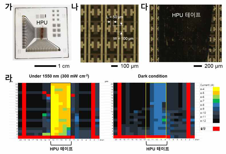 (가) 20 x 20 HPU/ITZO photodetector array. (나) ITZO array 및 (다) HPU/ITZO photodetector 영역의 광학 이미지. (라) 1550 nm의 빛을 300 mW cm-2로 조사했을 때, 20 x 20 HPU/ITZO 광트랜지 스터 어레이(왼쪽)와 광전류(중간) 및 암전류(오른쪽) mapping. 전류값은 drain voltage 10 V, gate voltage –5 V에서 측정