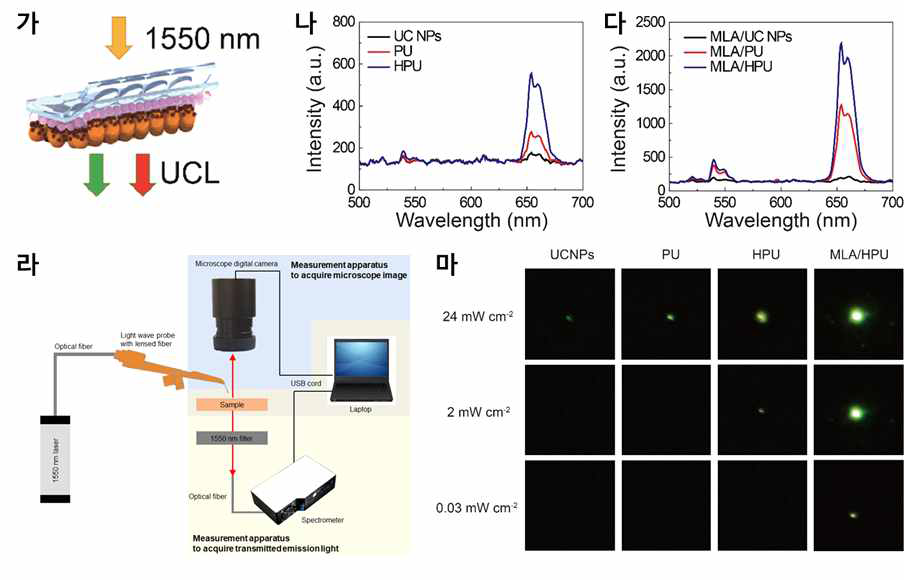 (가) MLA/HPU 필름에서 발광이 투과되었을 때의 UCL 세기를 확인에 대한 모식도. 여기 파장 1550 nm를 24 mW cm-2로 조사했을 때, (나) MLA 필름이 없는 UCNPs, PU, HPU 필름과 (다) MLA가 있는 상태에 대한 UCL 스펙트라. (라) Transmitted UCL spectrum 및 발광 이미지 측정 시스템에 대한 모식도. (마) 1550 nm 빛 조사에 대한 발광 이미지. (출처: Ko et al. Adv. Mater. 2022, 34, 2106225)