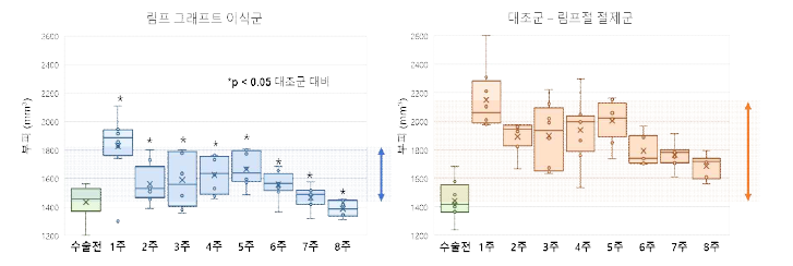 림프 그래프트 이식군은 림프절 절제술 및 방사선 조사에 의한 부종 유도에도 상대적 으로 적은 부피 변화를 보였으며, 7주 이후 거의 정상을 회복하였음