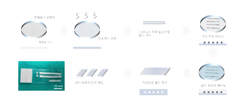 미세 구조 채널을 제작하는데 적합한 PDMS를 이용한 림프 그래프트 제작 방법