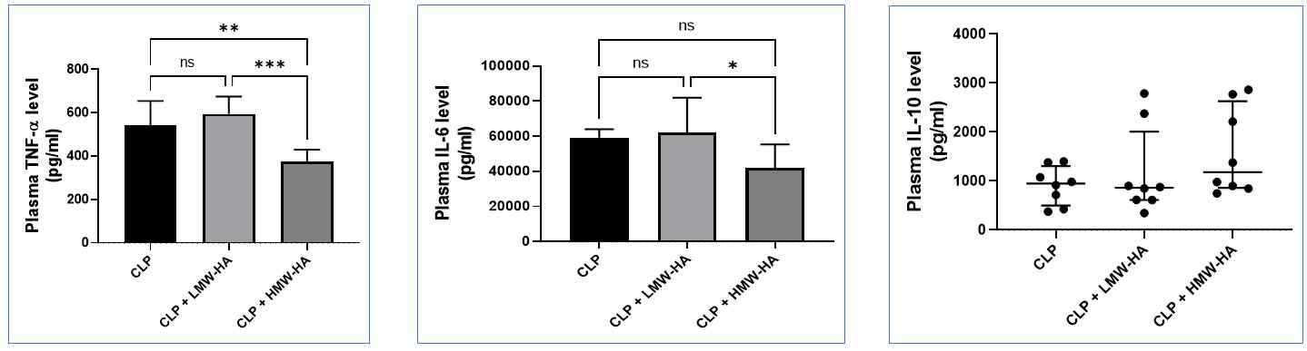 마우스 CLP 모델의 plasma에서 염증에 대한 LMW-HA와 HMW-HA 효과 분석