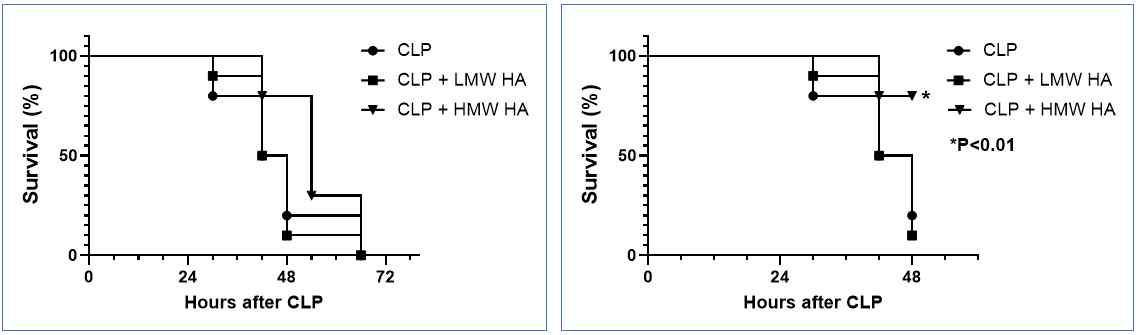 마우스 CLP 모델의 LMW-HA와 HMW-HA의 생존율 분석