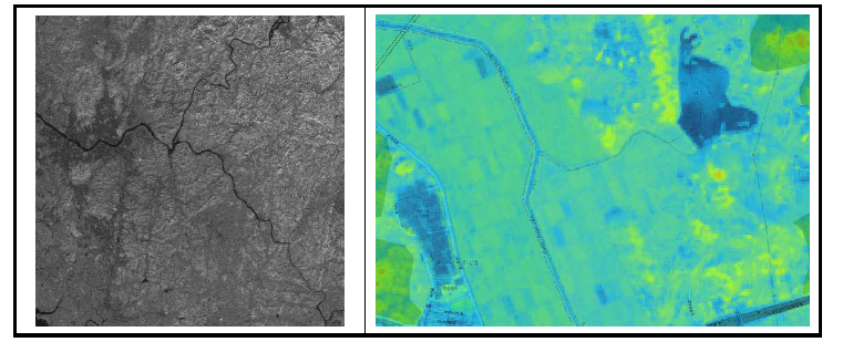 Sentinel-2 MSI 위성영상을 활용한 대규모 식생 모니터링