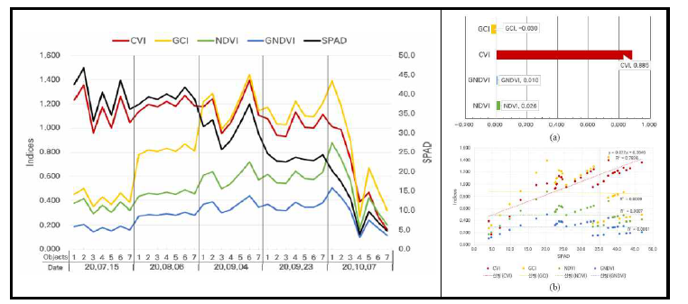 식생지수 4종과 엽록소 실측 데이터 시계열 비교 및 상관관계 그래프