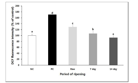 Changes in cellular antioxidant capacity of Wasabia koreana Nakai according to ripening periods