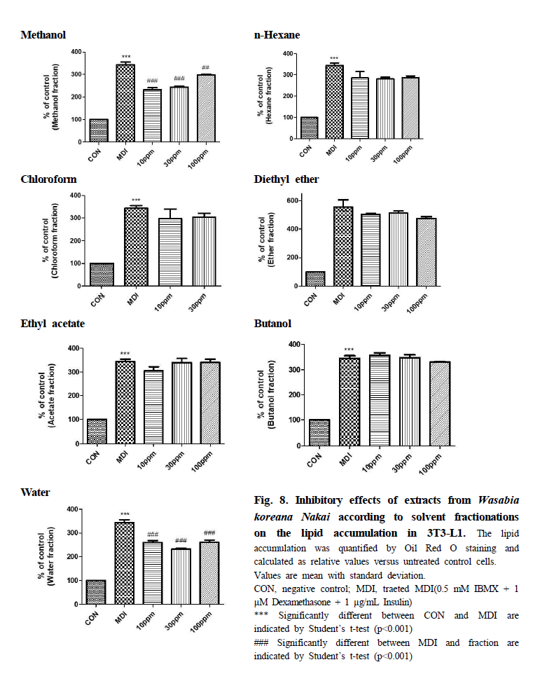 Inhibitory effects of extracts from Wasabia koreana Nakai according to solvent fractionations on the lipid accumulation in 3T3-L1. The lipid accumulation was quantified by Oil Red O staining and calculated as relative values versus untreated control cells. Values are mean with standard deviation. CON, negative control; MDI, traeted MDI(0.5 mM IBMX + 1 μM Dexamethasone + 1 μg/mL Insulin) *** Significantly different between CON and MDI are indicated by Student’s t-test (p<0.001) ### Significantly different between MDI and fraction are indicated by Student’s t-test (p<0.001)