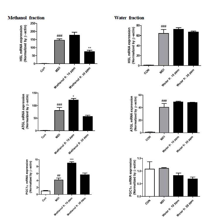 Lipolysis mRNA expression of Wasabia koreana Nakai Methanol and Water fractions Values are mean with standard deviation. CON, negative control; PC, positive control *** Significantly different between CON and PC or treated fraction extract are indicated by Student’s t-test (*p<0.05. **p<0.01, ***p<0.001)