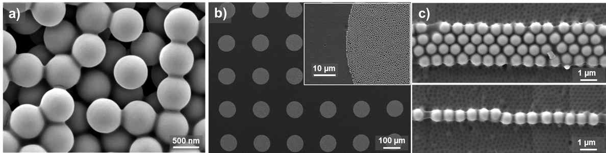 RGD 펩타이드가 코팅된 750 nm 크기의 실리카 나노입자 (a), PDMS 미세접촉 인쇄법으로 제조된 PEG-polymer를 기반의 실리카 단층 나노입자 어레이 (b), 1 μm급 라인 패턴 어레이 (c)
