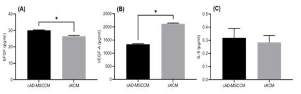 개 지방유래 줄기세포 배양액(cAD-MSCCM) 및 각질세포 배양액(cKCM) 내 (A)