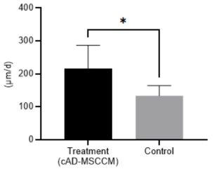 개 지방유래 줄기세포 배양액(cAD-MSCCM)를 처치한 실험군(Treatment)과 어떠한 처치도 실시하지 않은 대조군(Control)에서 고막상피세포 이주 속도 비교(*: P<0.05)