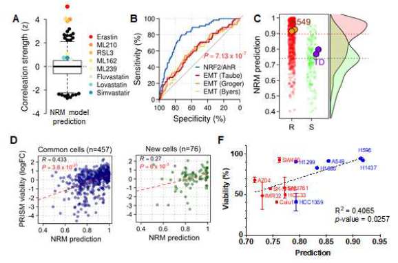 NRM 모델과 CTRP 데이터베이스의 약물과의 correlation strength 분석 (A) NRM 모델과 EMT signature의 erastin 반응성 sensitivity 분석 (B) 및 A549 와 TD의 상관관계 분석 (C). CTRP의 erastin 전사체 기반 NRM 모델의 상관관계 분석 (D) NRM 모델 기반 Erastin의 반응성을 apoptosis assay를 통해 검증 (F)