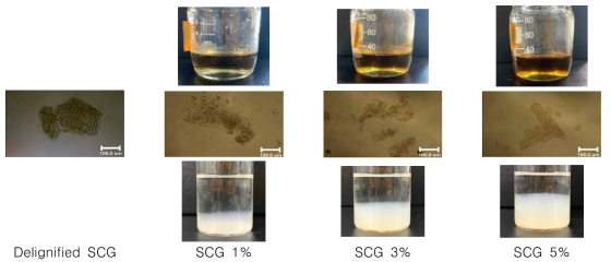 Dissolved SCG holocellulose using LiBr solution