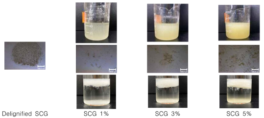 Dissolved SCG holocellulose using LiOH/urea solution