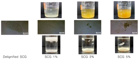 Dissolved SCG holocellulose using NaOH/urea solution