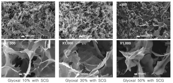 SEM images of treated SCG with glyoxal