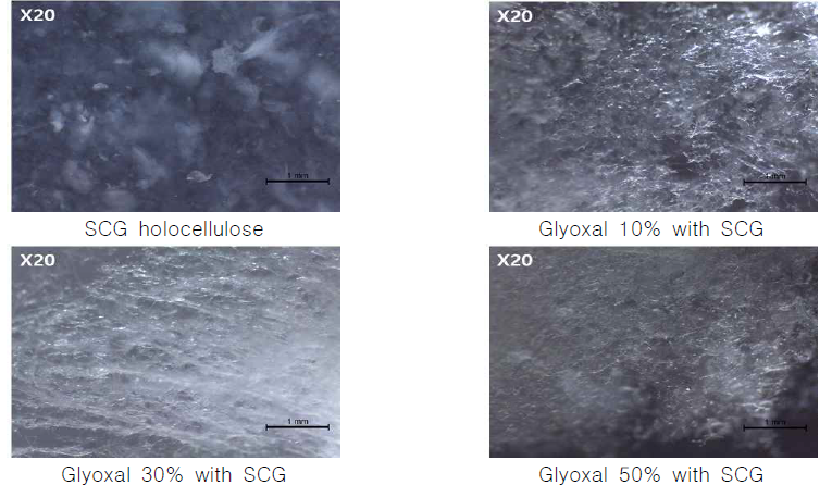 Stereo microscope images of treated SCG with glyoxal