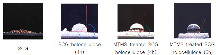 Contact angle of non-treated and MTMS treated SCG holocellulose(4 and 6 hours delignified SCG)