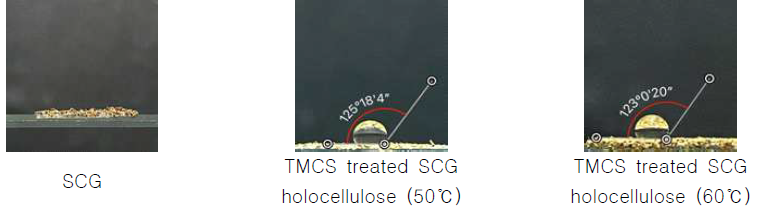 Contact angle of TMCS treated SCG holocellulose