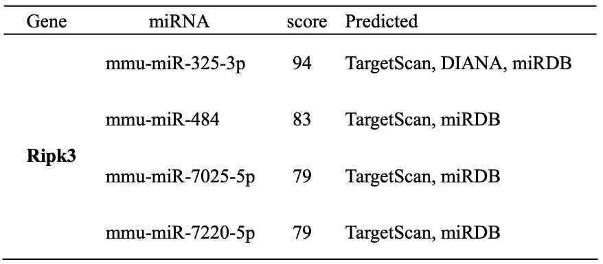 miR 데이터베이스를 이용하여 동정한 Ripk3 타깃 miRNAs