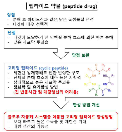 플로우 화학을 이용한 고리형 펩타이드 합성